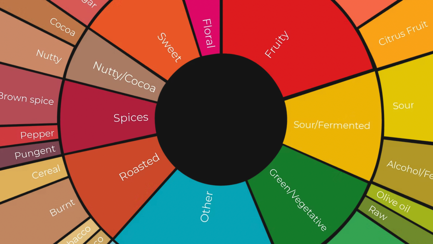 How to Taste Coffee Like a Pro